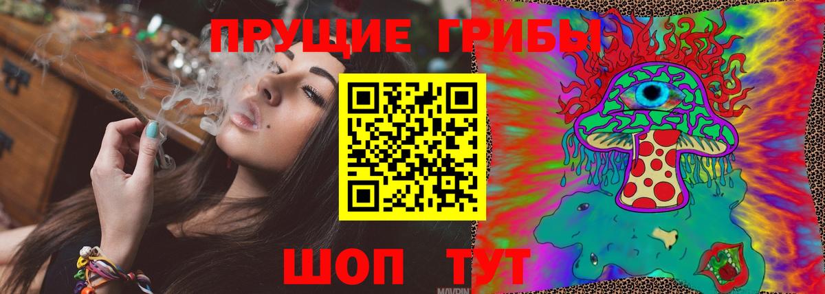 Новотроицк  Галлюциногенные грибы Psilocybine cubensis  Вход с VPN 
